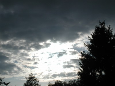 P1010040.JPG