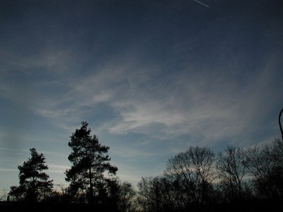 P9.jpg
