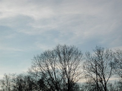 P8.jpg