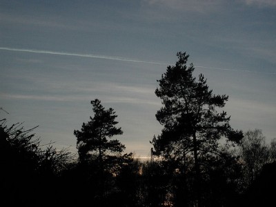 P6.jpg