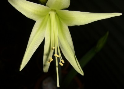 CIMG5013 - Kopie.JPG