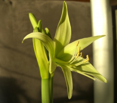 CIMG5025 - Kopie.JPG