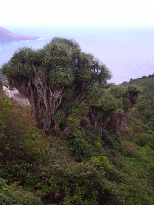 DSCN1433.JPG