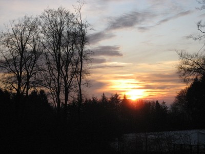 IMG_5379.JPG