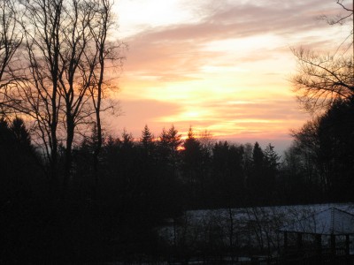 IMG_5367.JPG