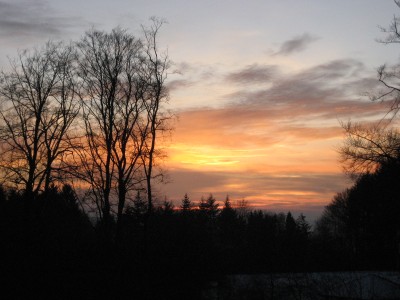 IMG_5357.JPG