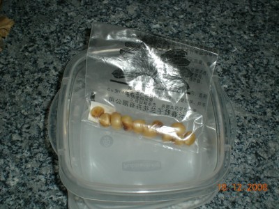 DSCN21890001.JPG