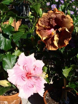 eigenebilder 025 Kopie.jpg