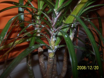 100_9327.JPG