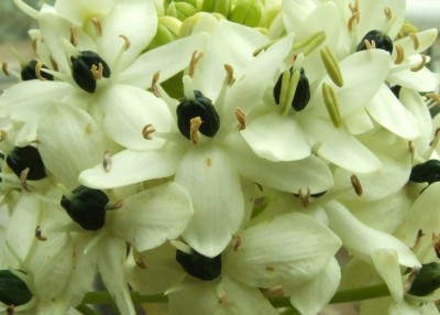 DSCF7858.JPG