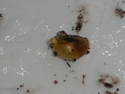 RSCN22110001.JPG