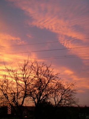 DSCN21950001.JPG