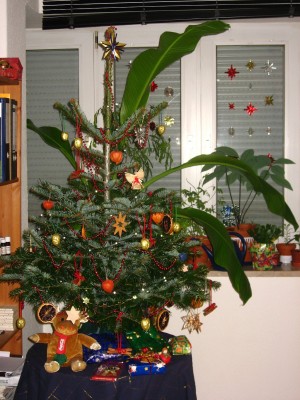 IMG_3852_1024x1365.JPG