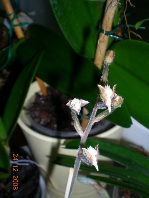 DSCN22410001.JPG