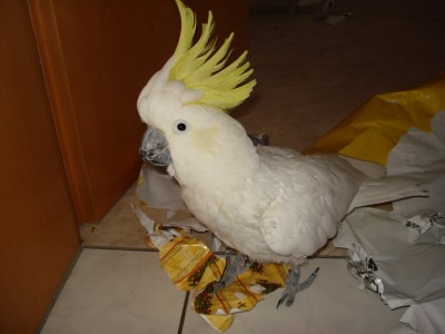November 2008 023.jpg
