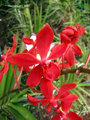 IMG_0440.jpg