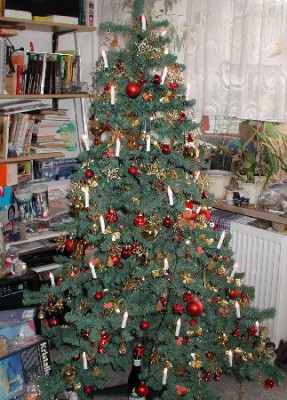 Bild1.Baum jpg.jpg
