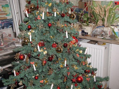 Baum2008.jpg