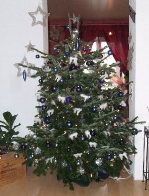 Dscf7896.jpg
