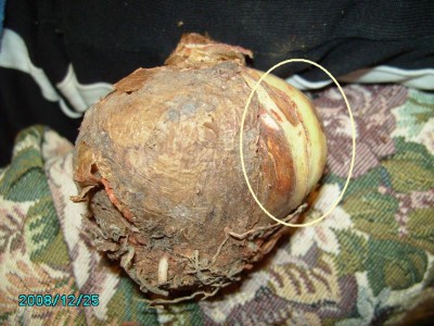 PICT0392 mit Baby.jpg