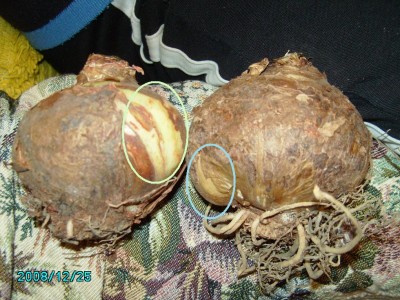 PICT0391 mit Baby's.jpg