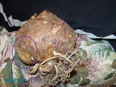 PICT0390 mit Baby.jpg