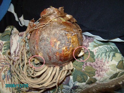 PICT0389 mit Baby.jpg