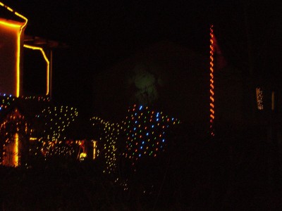 Tannenbaum 017.JPG