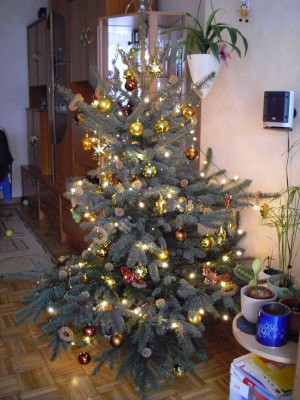 CIMG0043.JPG