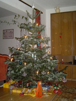 Weihnachten 2008 005.jpg