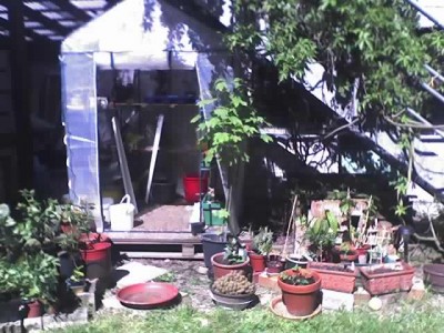 10-05-08_Gewächshaus.jpg