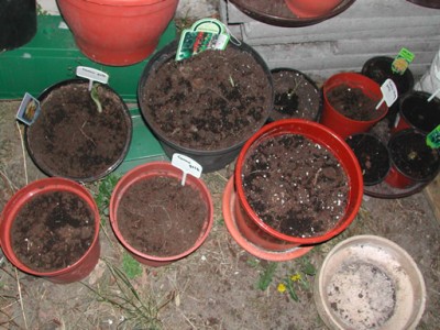 DSCN0270.jpg