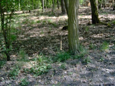 HPIM1200_640x480.JPG