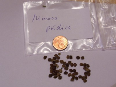 100_6637.JPG
