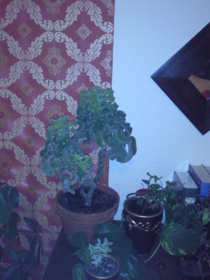 Foto0055.jpg