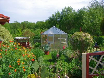 Garten 2007_2.jpg
