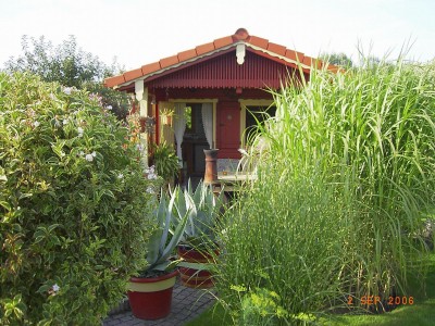 Garten 2007_8.jpg