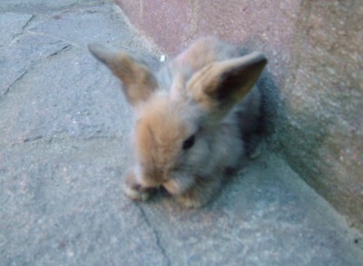 DSCF2069.JPG