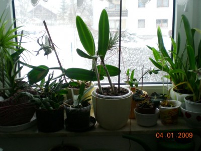 DSCN23280001.JPG