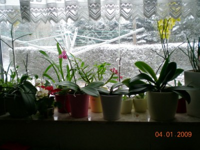 DSCN23240001.JPG
