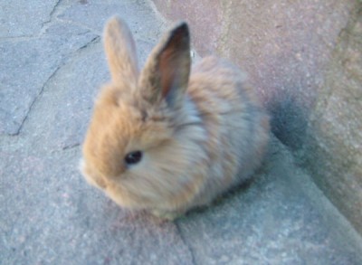 DSCF2067.JPG