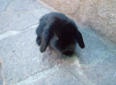 DSCF2064.JPG