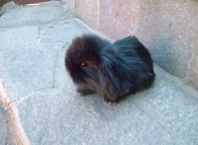 DSCF2063.JPG