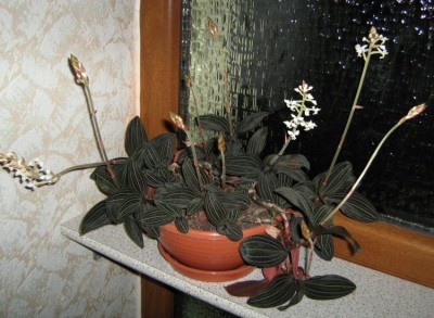 web_IMG_7966.jpg