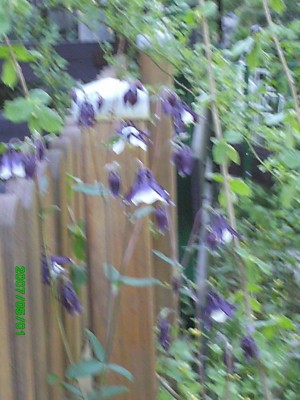 Urlaub Eifel April-Mai 2007 027.jpg
