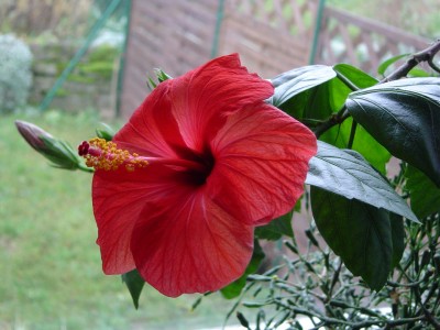 Natur 004.jpg