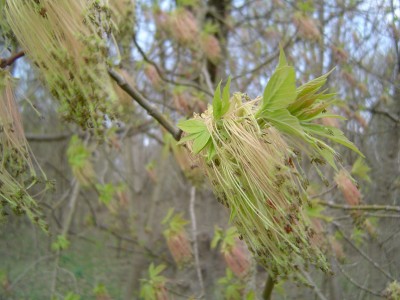 Ostern,07 037.jpg