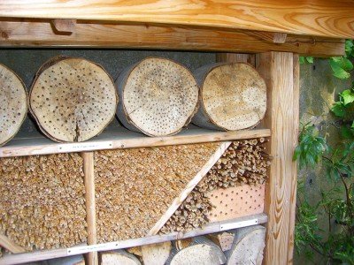 Insektenhaus3.jpg