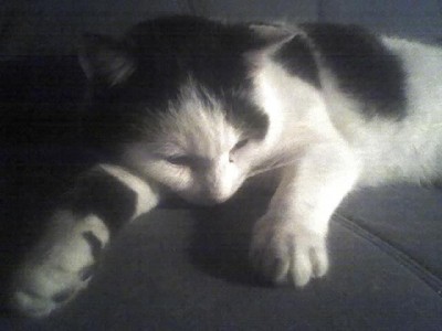 01-01-08_Frieda ganz entspannt.jpg