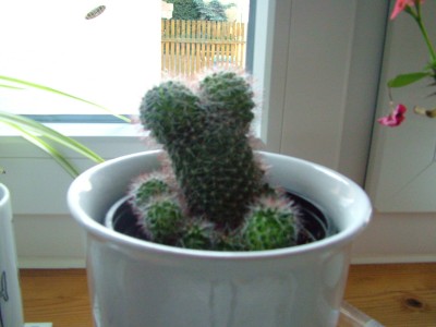 DSCF2078.JPG